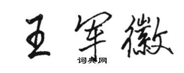 駱恆光王軍徽行書個性簽名怎么寫