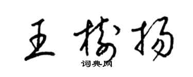 梁錦英王樹揚草書個性簽名怎么寫