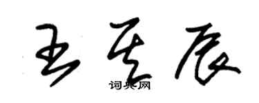 朱錫榮王其辰草書個性簽名怎么寫