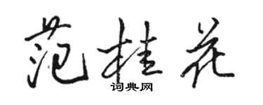 駱恆光范桂花行書個性簽名怎么寫