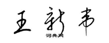 梁錦英王新韋草書個性簽名怎么寫