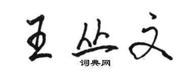 駱恆光王叢文行書個性簽名怎么寫