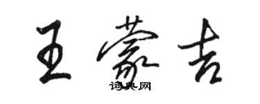 駱恆光王蒙吉行書個性簽名怎么寫