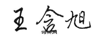 駱恆光王含旭行書個性簽名怎么寫