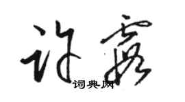 駱恆光許霞草書個性簽名怎么寫