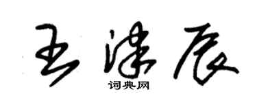朱錫榮王津辰草書個性簽名怎么寫