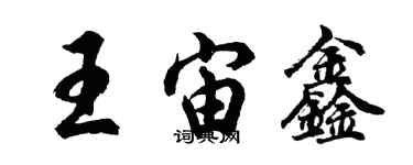 胡問遂王宙鑫行書個性簽名怎么寫