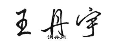 駱恆光王丹宇行書個性簽名怎么寫