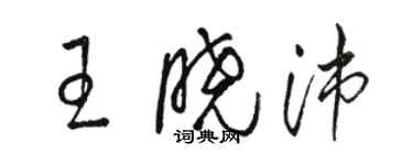 駱恆光王曉沛草書個性簽名怎么寫