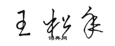 駱恆光王松年草書個性簽名怎么寫