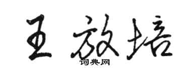 駱恆光王放培行書個性簽名怎么寫
