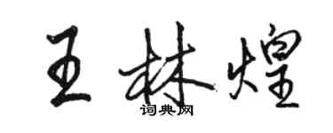 駱恆光王林煌行書個性簽名怎么寫