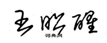 朱錫榮王昭醒草書個性簽名怎么寫