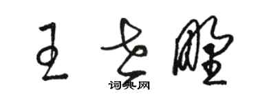 駱恆光王世野草書個性簽名怎么寫