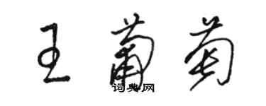 駱恆光王葡萄草書個性簽名怎么寫