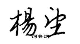 王正良楊望行書個性簽名怎么寫