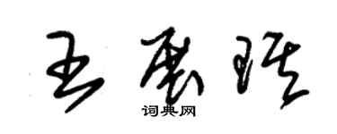 朱錫榮王展琪草書個性簽名怎么寫