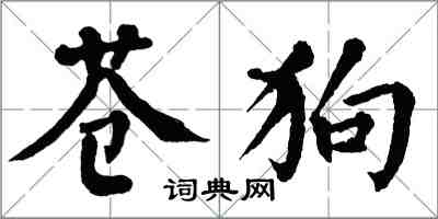 翁闓運蒼狗楷書怎么寫