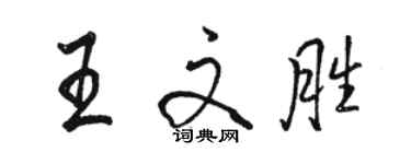 駱恆光王文勝行書個性簽名怎么寫