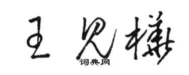 駱恆光王見樺草書個性簽名怎么寫