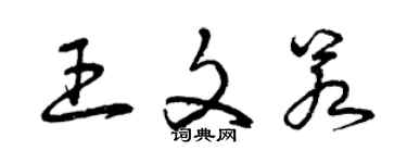 曾慶福王文若草書個性簽名怎么寫