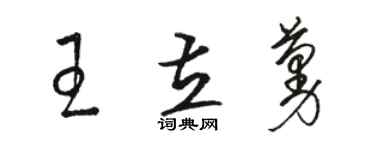 駱恆光王立蔓草書個性簽名怎么寫