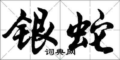 胡問遂銀蛇行書怎么寫