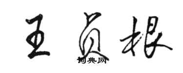 駱恆光王貞根行書個性簽名怎么寫