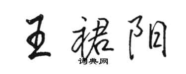 駱恆光王裙陽行書個性簽名怎么寫