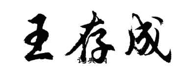 胡問遂王存成行書個性簽名怎么寫