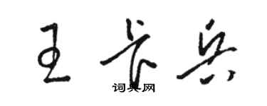 駱恆光王卡兵草書個性簽名怎么寫