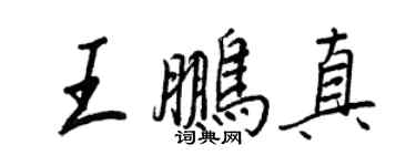 王正良王鵬真行書個性簽名怎么寫