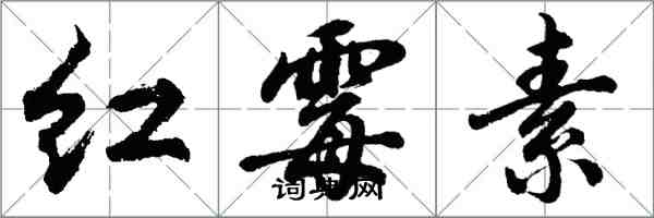 胡問遂紅黴素行書怎么寫