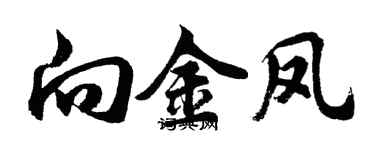 胡問遂向金鳳行書個性簽名怎么寫