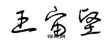 曾慶福王宙堅草書個性簽名怎么寫