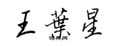 王正良王葉星行書個性簽名怎么寫