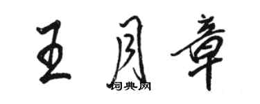 駱恆光王月章行書個性簽名怎么寫