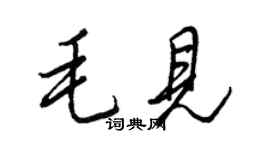王正良毛見行書個性簽名怎么寫