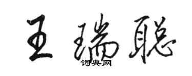 駱恆光王瑞聰行書個性簽名怎么寫