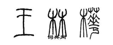 陳墨王林樺篆書個性簽名怎么寫