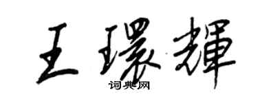 王正良王環輝行書個性簽名怎么寫