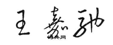 駱恆光王嘉馳草書個性簽名怎么寫