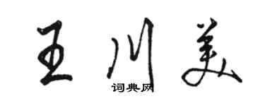 駱恆光王川美行書個性簽名怎么寫