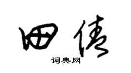 朱錫榮田倩草書個性簽名怎么寫