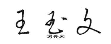 駱恆光王玉文草書個性簽名怎么寫