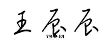 梁錦英王辰辰草書個性簽名怎么寫