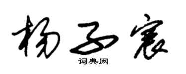 朱錫榮楊子宸草書個性簽名怎么寫