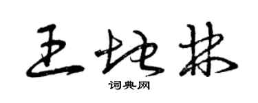 曾慶福王地林草書個性簽名怎么寫