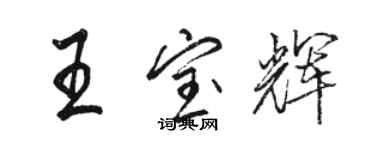 駱恆光王寶輝行書個性簽名怎么寫