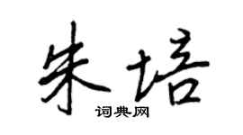 王正良朱培行書個性簽名怎么寫